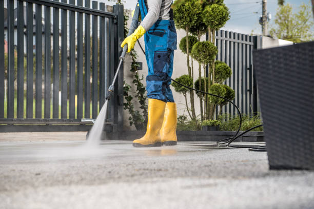Best Building Exterior Washing  in Stanley, VA